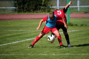 米兰体育登陆-中国足球俱乐部运营效率调查，中国足球俱乐部运营效率调查问卷