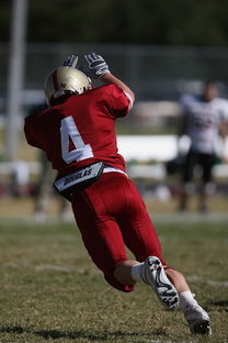 米兰 MILAN GAME-中国足球前腰角色功能拓展趋势评估,足球队前腰 第3张 米兰 MILAN GAME-中国足球前腰角色功能拓展趋势评估,足球队前腰 第3张