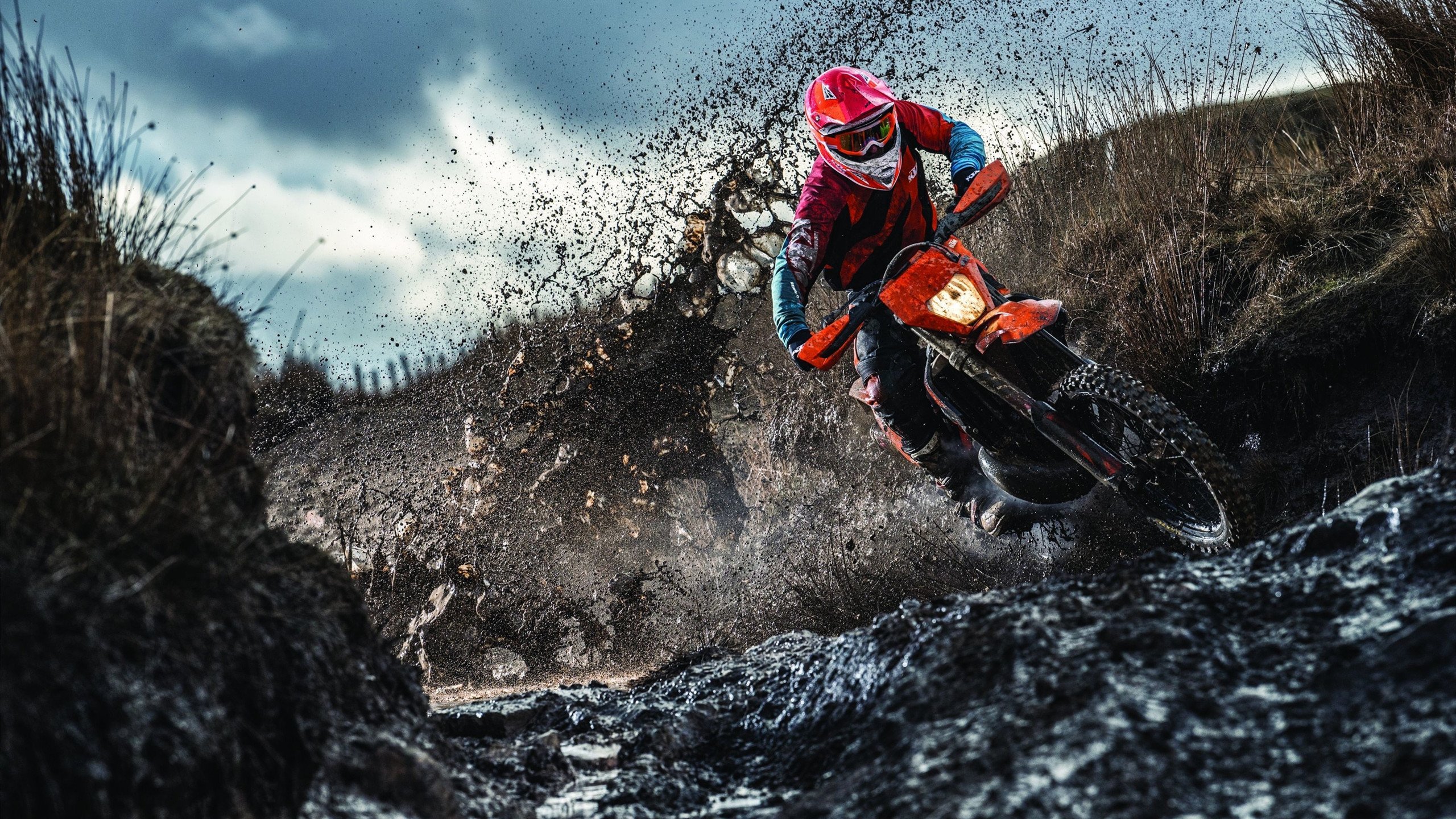 世界杯：志愿者“告别日记”刷屏 温暖故事感动世界球迷